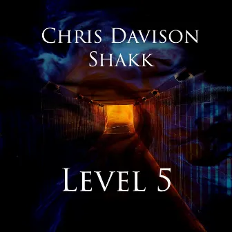 Level 5 by Chris Davison