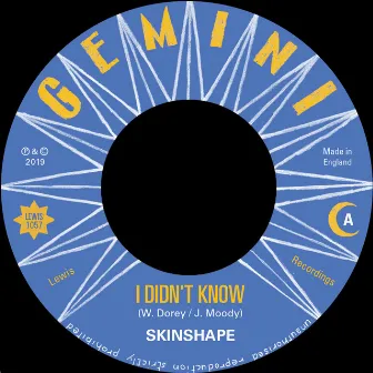 I Didn't Know (Extended Mix) by Skinshape