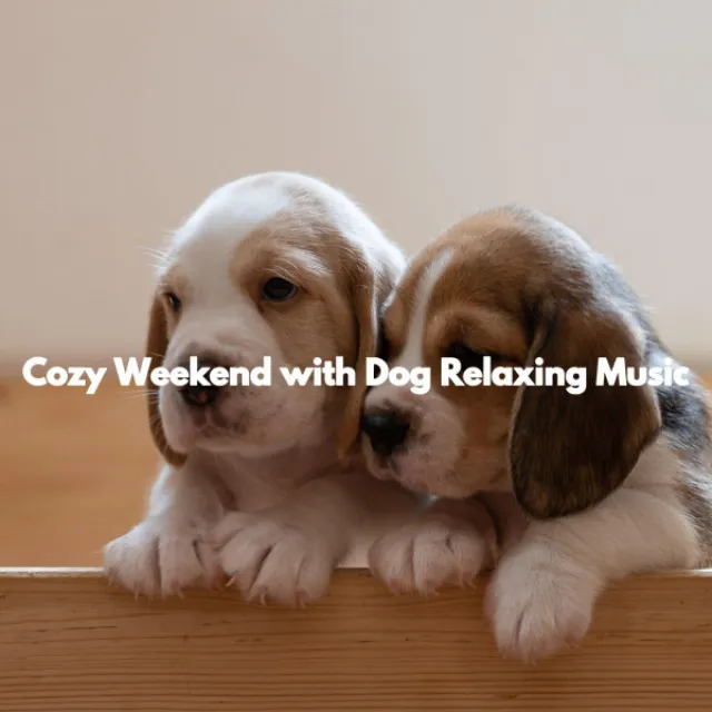 Cozy Weekend with Dog Relaxing Music