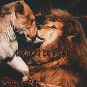 Nobody But You by Bruno Brinks