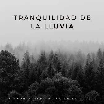 Tranquilidad De La Lluvia: Sinfonía Meditativa De La Lluvia by Meditación En El Balneario