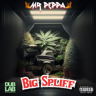 BIG SPLIFF by Mr. Peppa