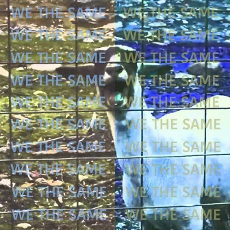 Screaming Like Humans by We the Same