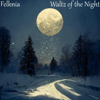 Waltz of the Night by Felknia