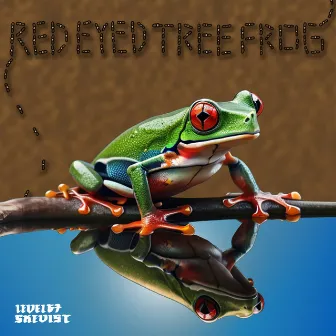 Red Eyed Tree Frog by Skevist