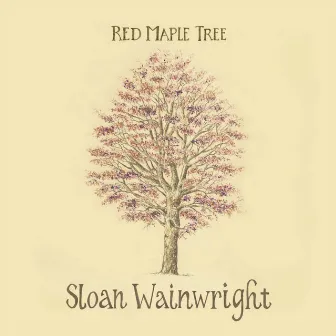 Red Maple Tree by Sloan Wainwright