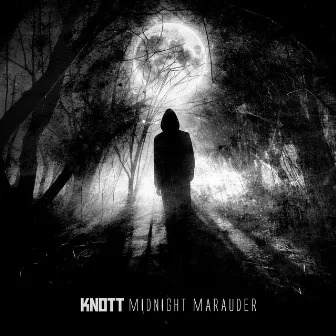 Midnight Marauder by Knott