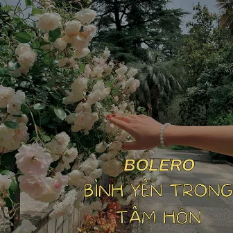 Album Bình Yên Trong Tâm Hồn by Anh Đào