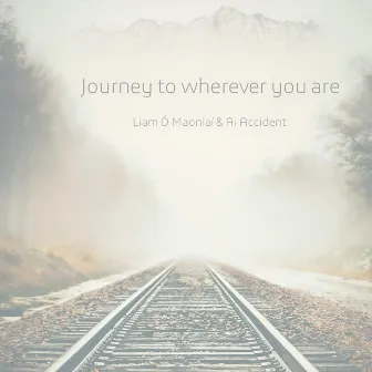 Journey to Wherever You Are by Liam Ó Maonlaí