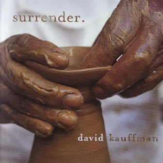 Surrender by David Kauffman