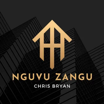 Nguvu Zangu by Chris Bryan