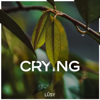 Crying by LŪSY