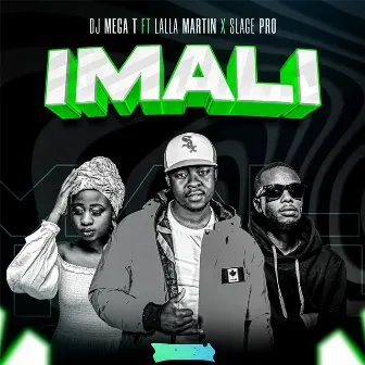 Imali by Lalla Martin