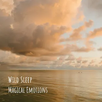 Magical Emotions by Wild Sleep