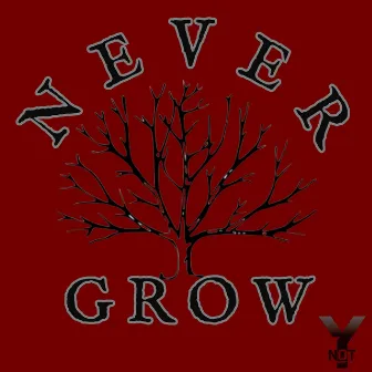 Never Grow by Ynot Muzic