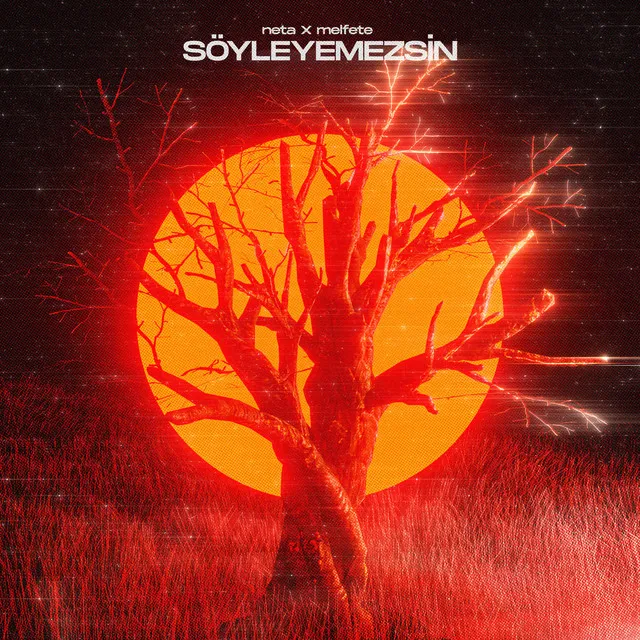 Söyleyemezsin