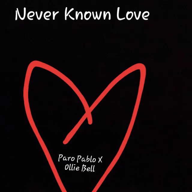 Never Known Love