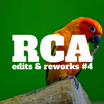 Edits & Reworks #4 by Real Cumbia Activa RCA