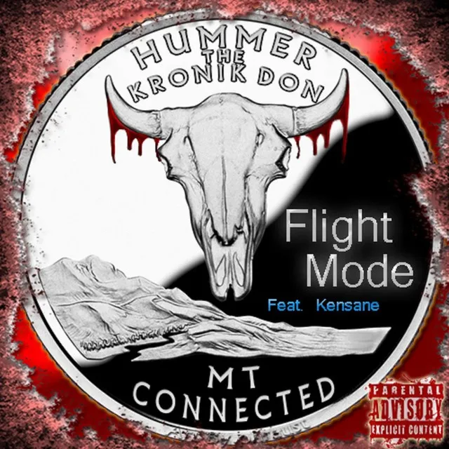 Flight Mode