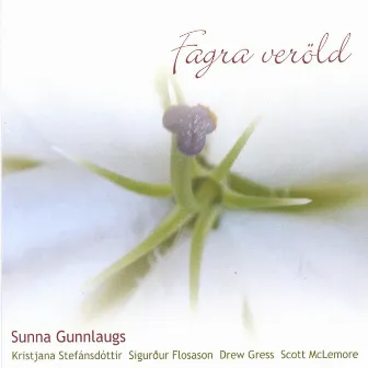 Fagra Verold by Sunna Gunnlaugs