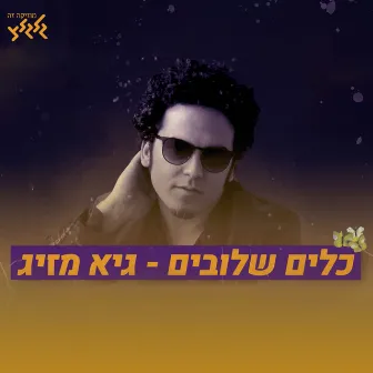 כלים שלובים by Guy Mazig