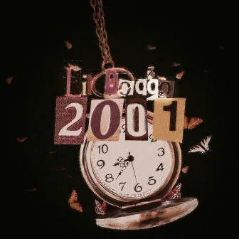 2001 by lil doggo