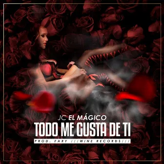 Todo Me Gusta de Ti by JC el Mágico