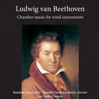 Ludwig van Beethoven - Chamber Music for Wind Instruments by Baudoin Giaux