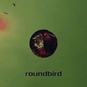 roundbird by smalltalk