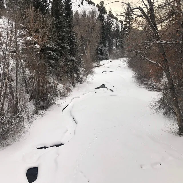 Brush Creek's Road