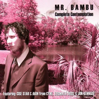 Complete Contemplation by Mr. Bambu