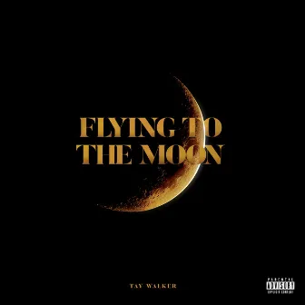 Flying to the Moon by Tay Walker