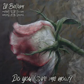 Do you love me now? by Lil Bellum