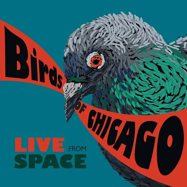 Live From Space (Evanston, Illinois / June 28, 2013)