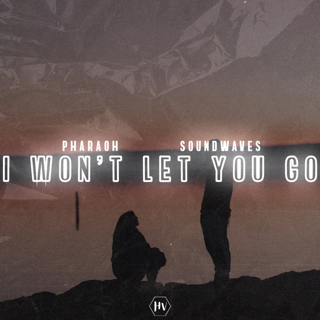 I Won't Let You Go