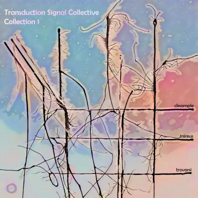 Transduction Signal Collective - Collection 1