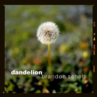 Dandelion by Brandon Schott