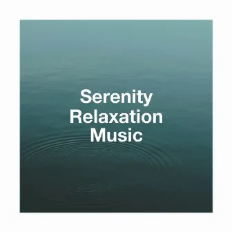 Serenity Relaxation Music by Unknown Artist