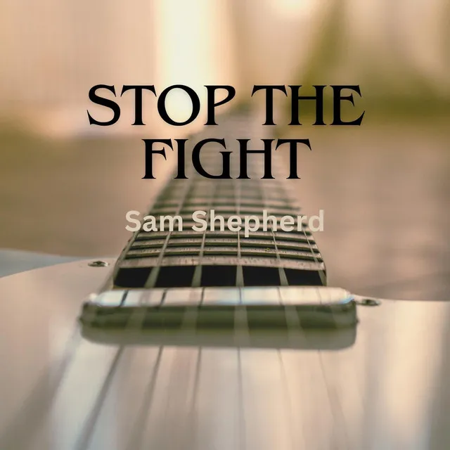 Stop the Fight