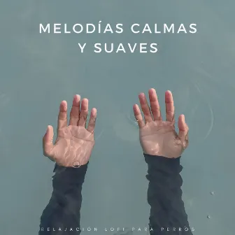 Melodías Calmas Y Suaves: Relajación Lofi Para Perros by Relajante Lo Fi