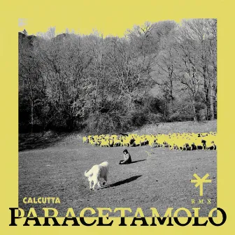 Paracetamolo (TY1 Remix) by Calcutta 