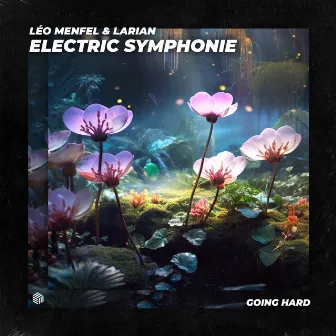 Electric Symphonie by Larian