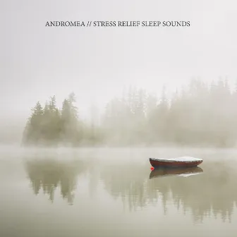 Stress Relief Sleep Sounds by Andromea