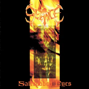 Saltrubbed Eyes by Seance