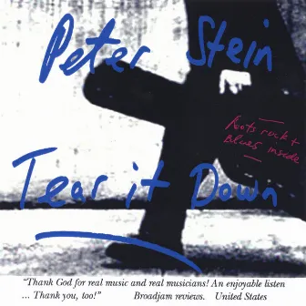 Tear It Down by Peter Stein