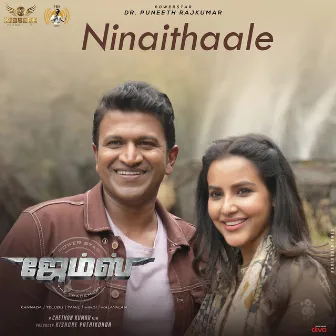 Ninaithaale (From 