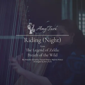 Riding (Night) [feat. Patti Rudisill] by Amy Turk