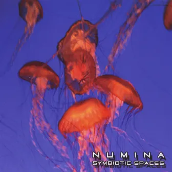 Symbiotic Spaces by Numina