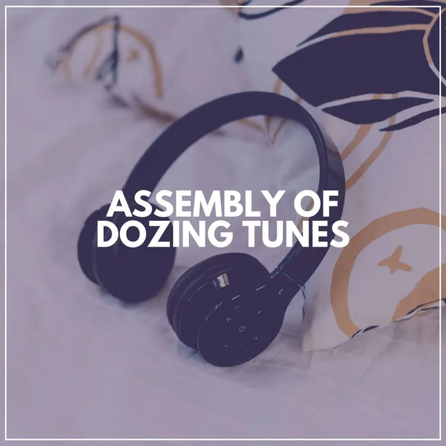 Assembly of Dozing Tunes