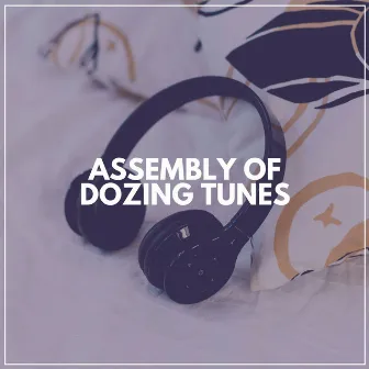 Assembly of Dozing Tunes by Lily's Corner